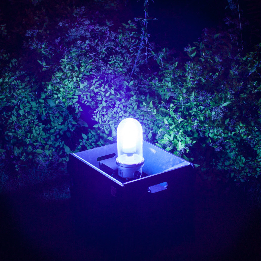 Moth Traps Reseller