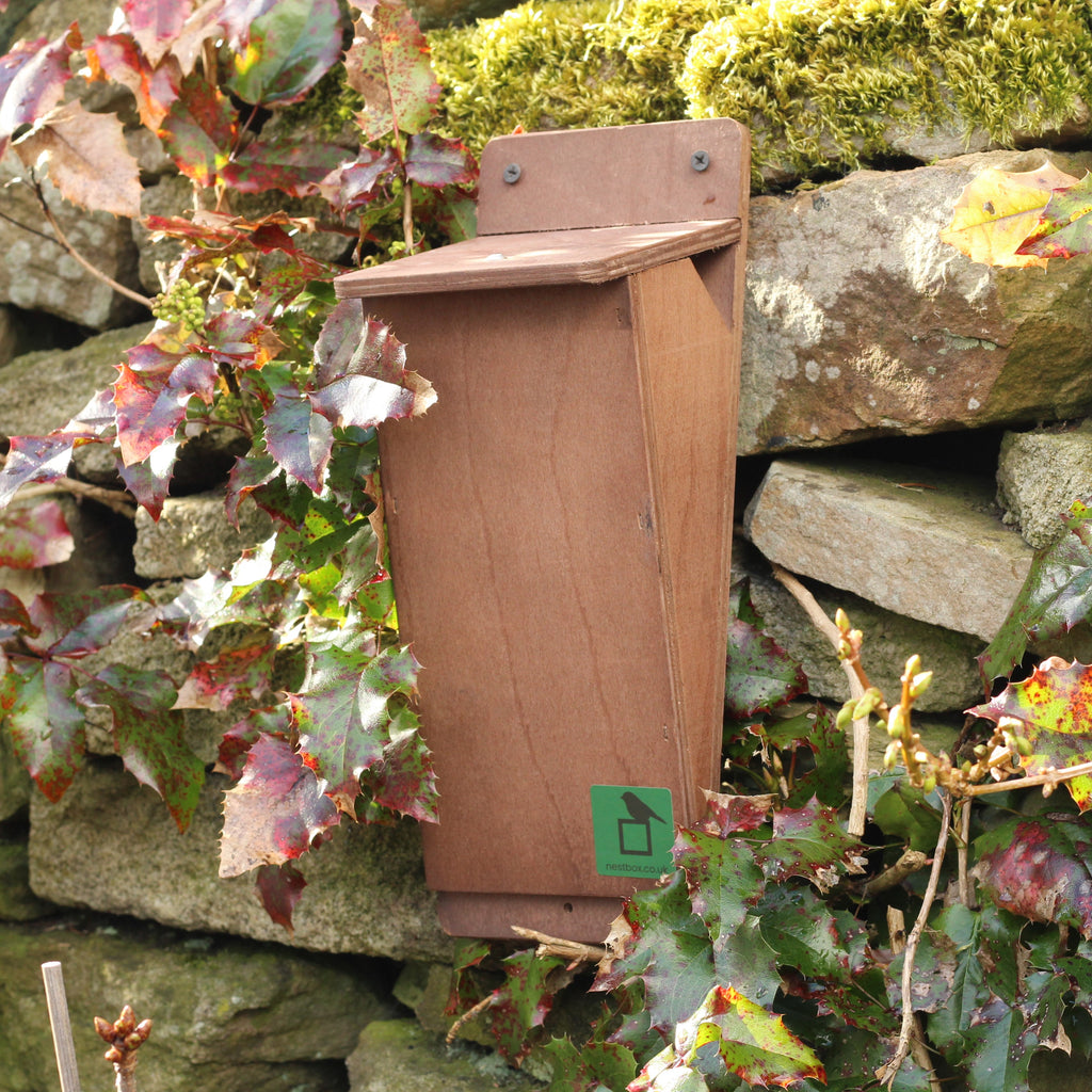 Treecreeper Nest Box
