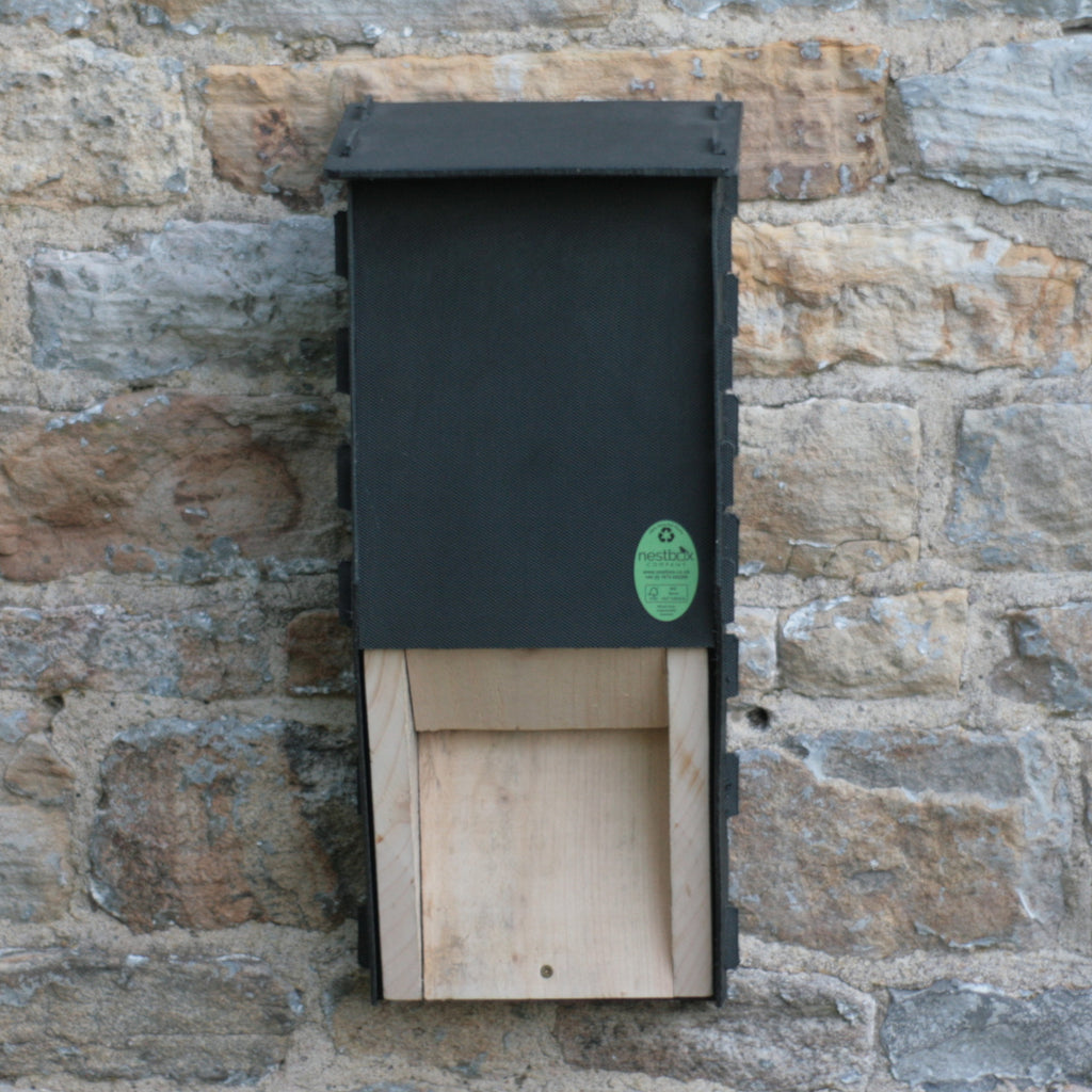 Eco Bat Box