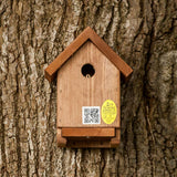 Apex nest box from front