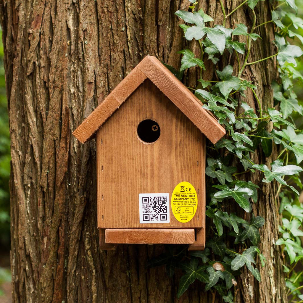 Apex bird nesting box