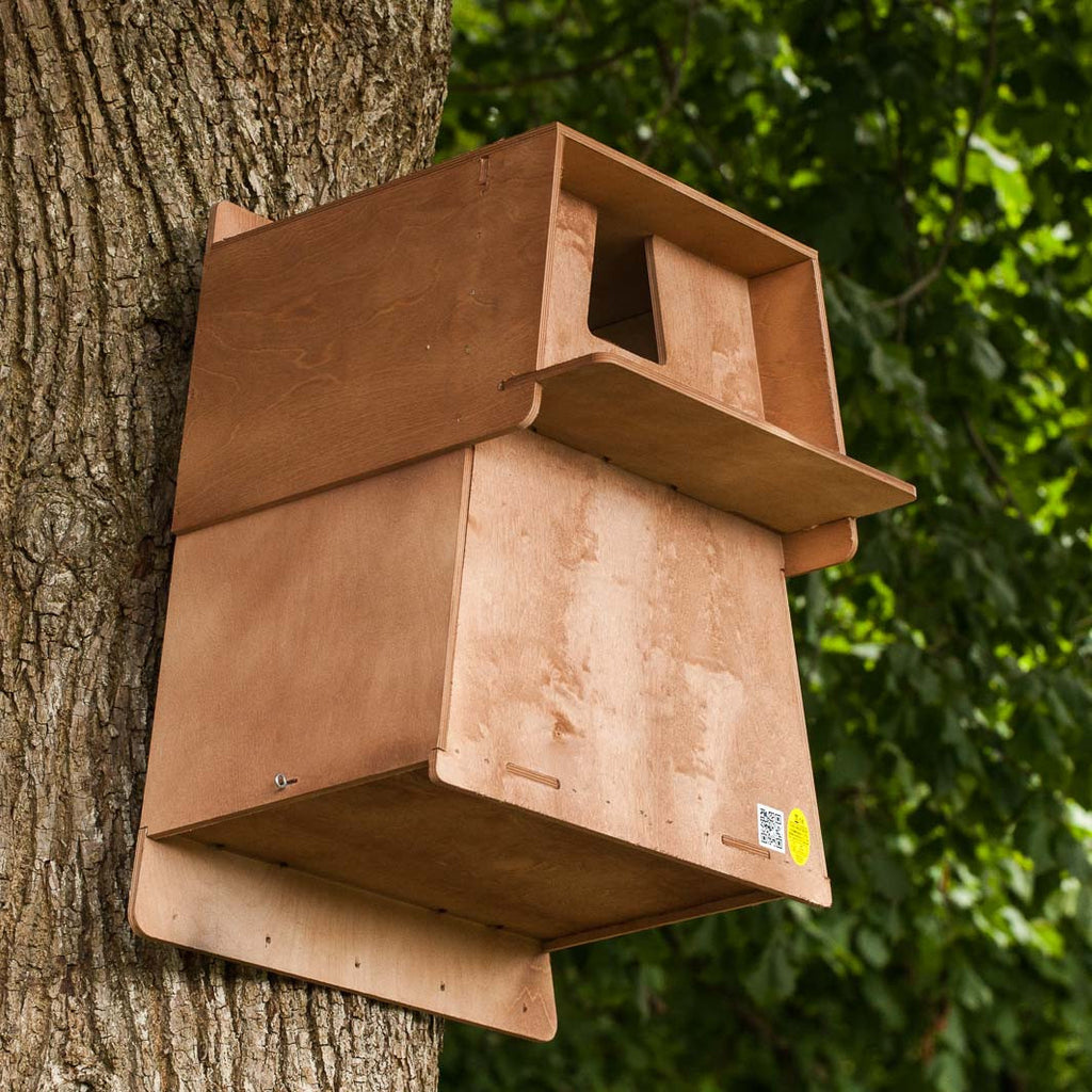 Barn Owl Nesting Box on tree