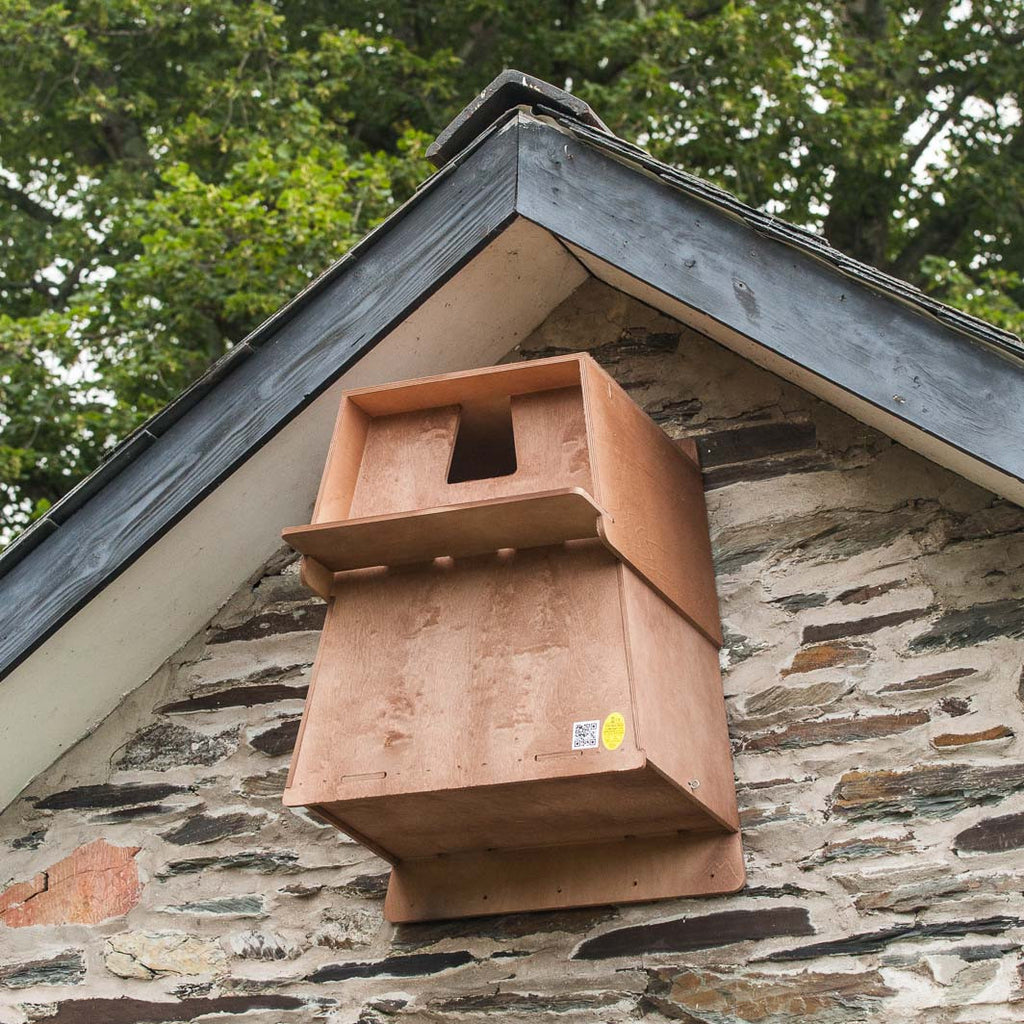 Barn Owl Nest Box on gable end of barn