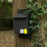 Crevice Bat Box with enhanced thermal performance