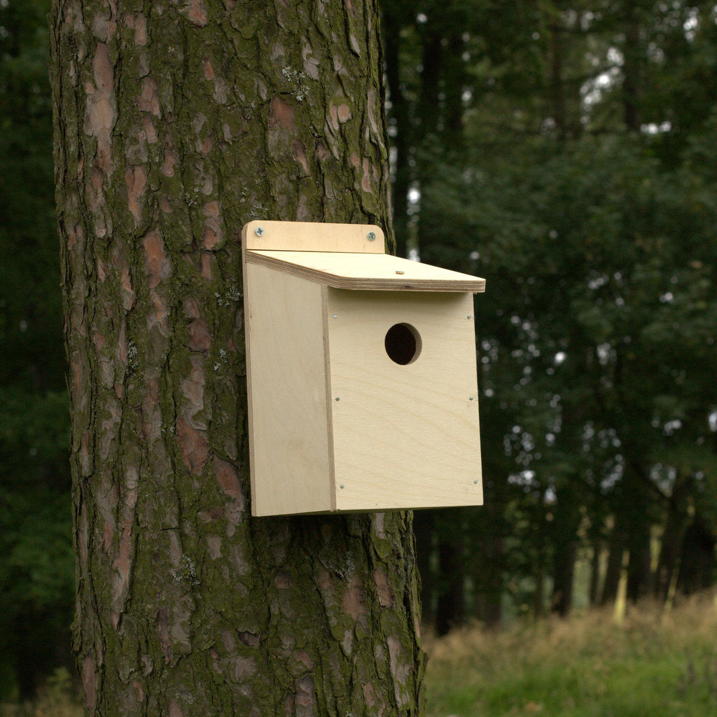 attractive bird box made from easy to assemble kit