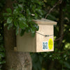 Dormouse Nest Box