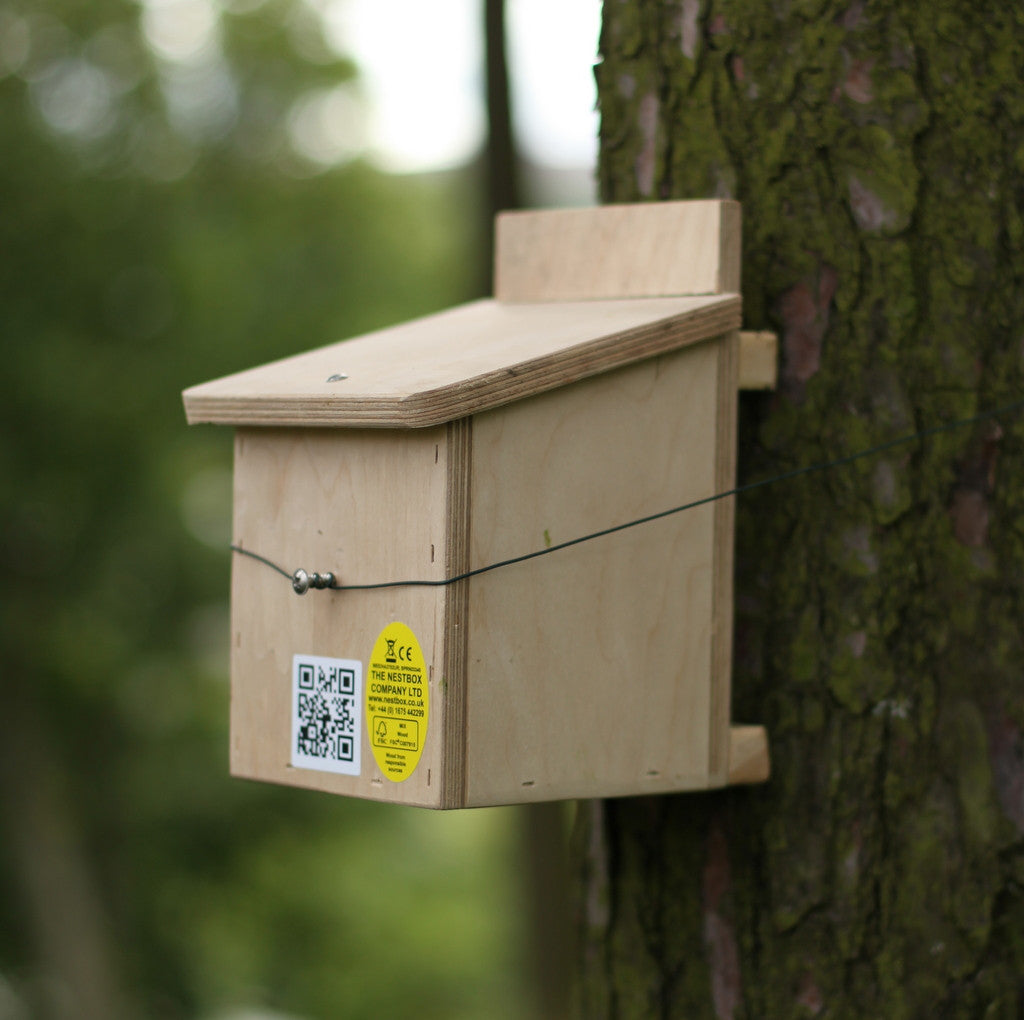 dormouse nest box on tree