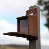 squirrel feeding station post mounted