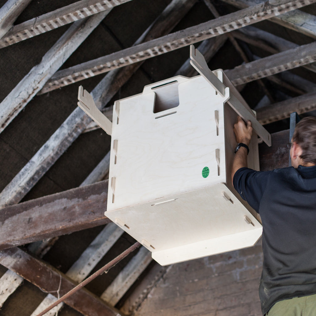 Interior Barn Owl Nest Box