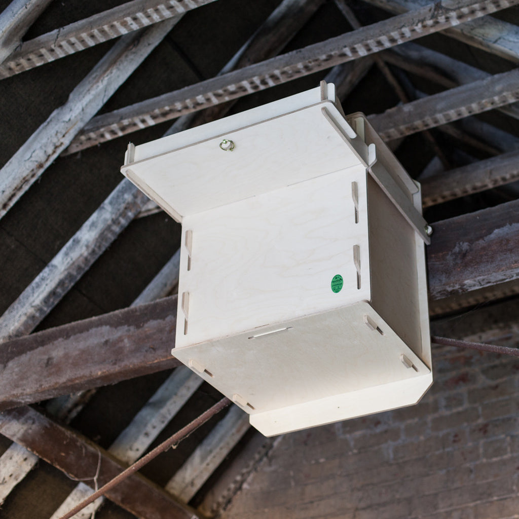 Interior Barn Owl Nest Box