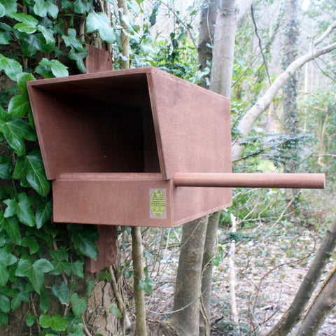 Interior Barn Owl Nest Box