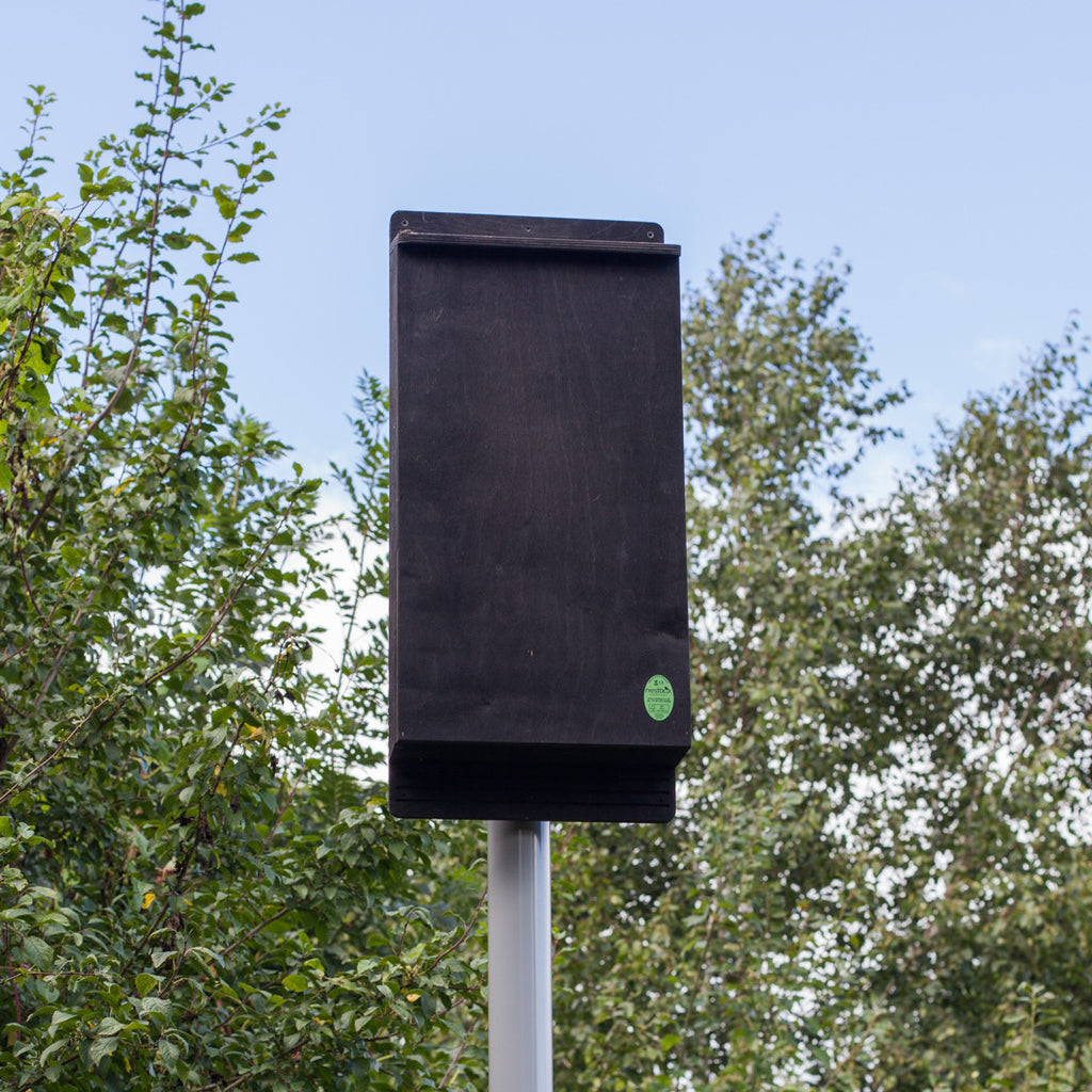 Pole Mounted Bat Box