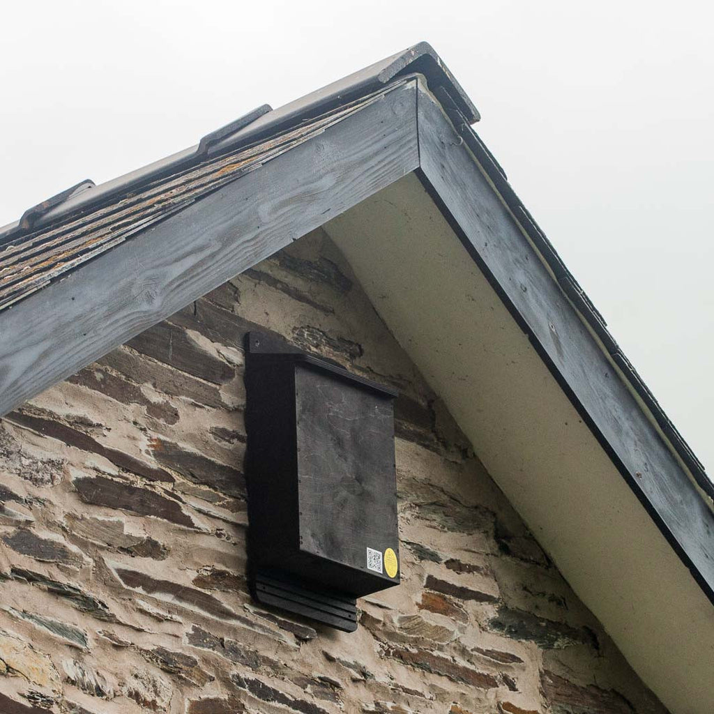 Roost Maternity Bat Box mounted near apex of roof