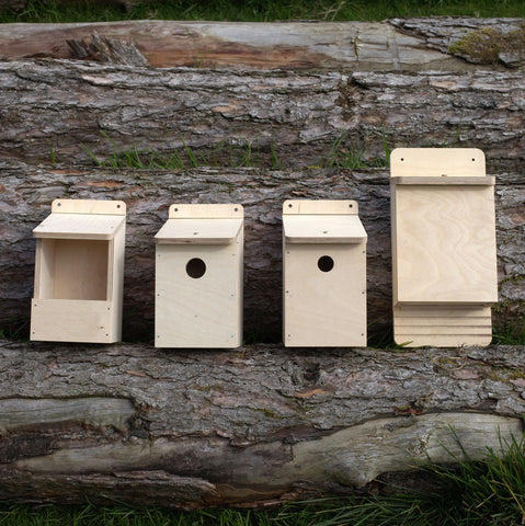 Bird Box Kit