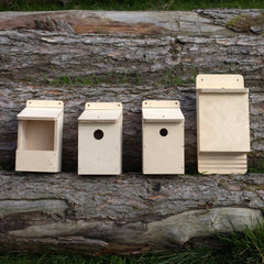 Mixed Bird & Bat Box Kits for group projects