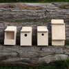 Mixed Bird & Bat Box Kits
