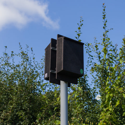 Heated Bat Box