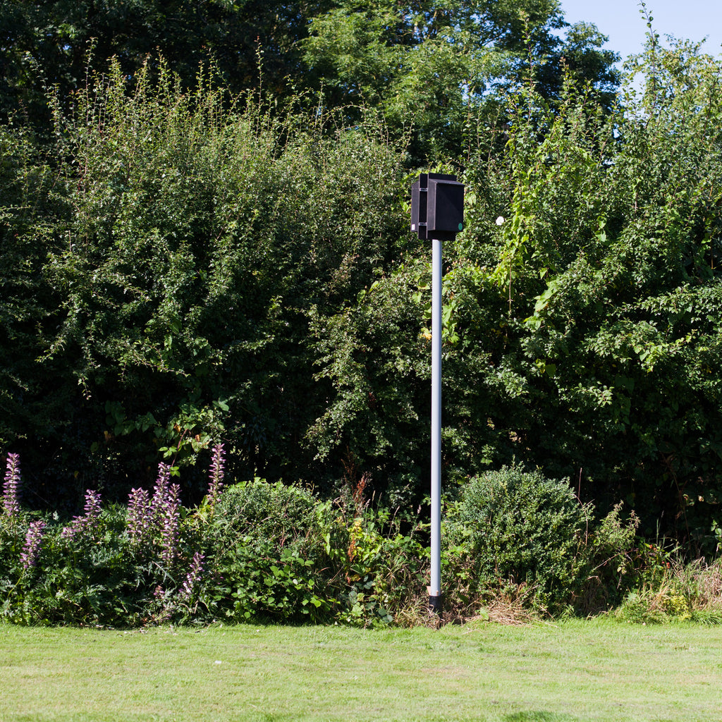 Pole Mounted Bat Box