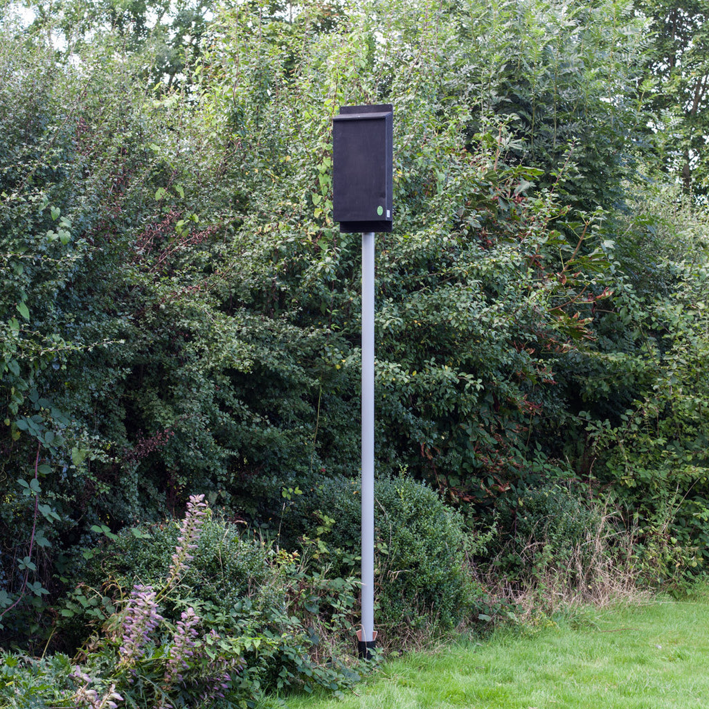 Pole Mounted Bat Box