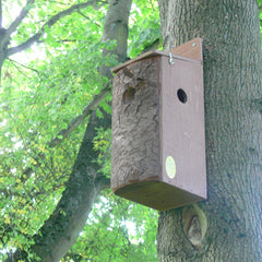 Red Squirrel Nest Box mounted on tree