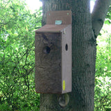 Red Squirrel box with 2 entrances