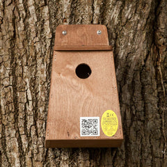 Small Bird nesting box mounted on tree