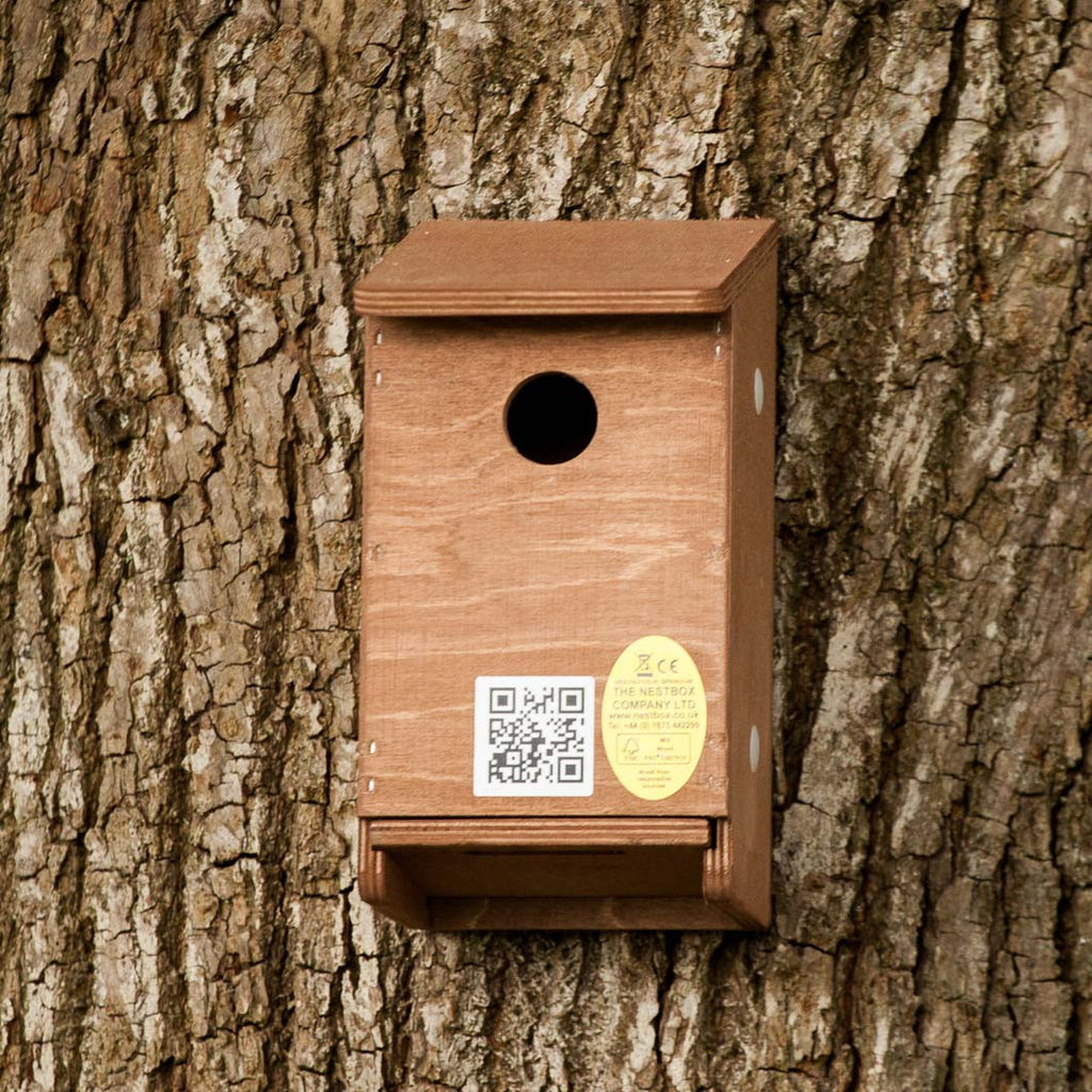 house sparrow nesting box 