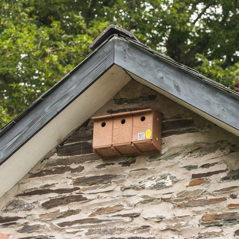 Eco Dipper - Wagtail Nest Box