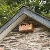 Sparrow Terrace Nest Box
