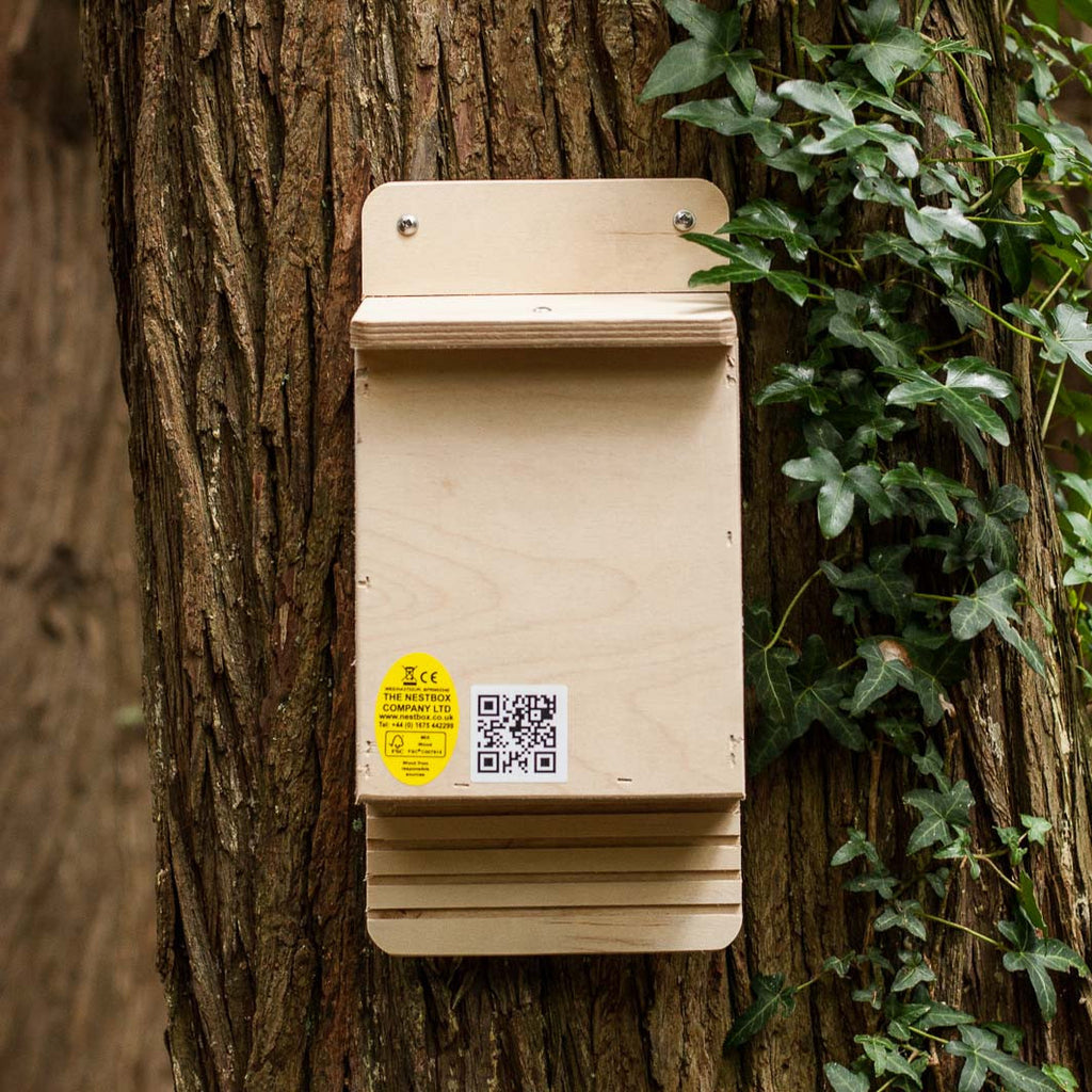 Bat Box for pipistrelles