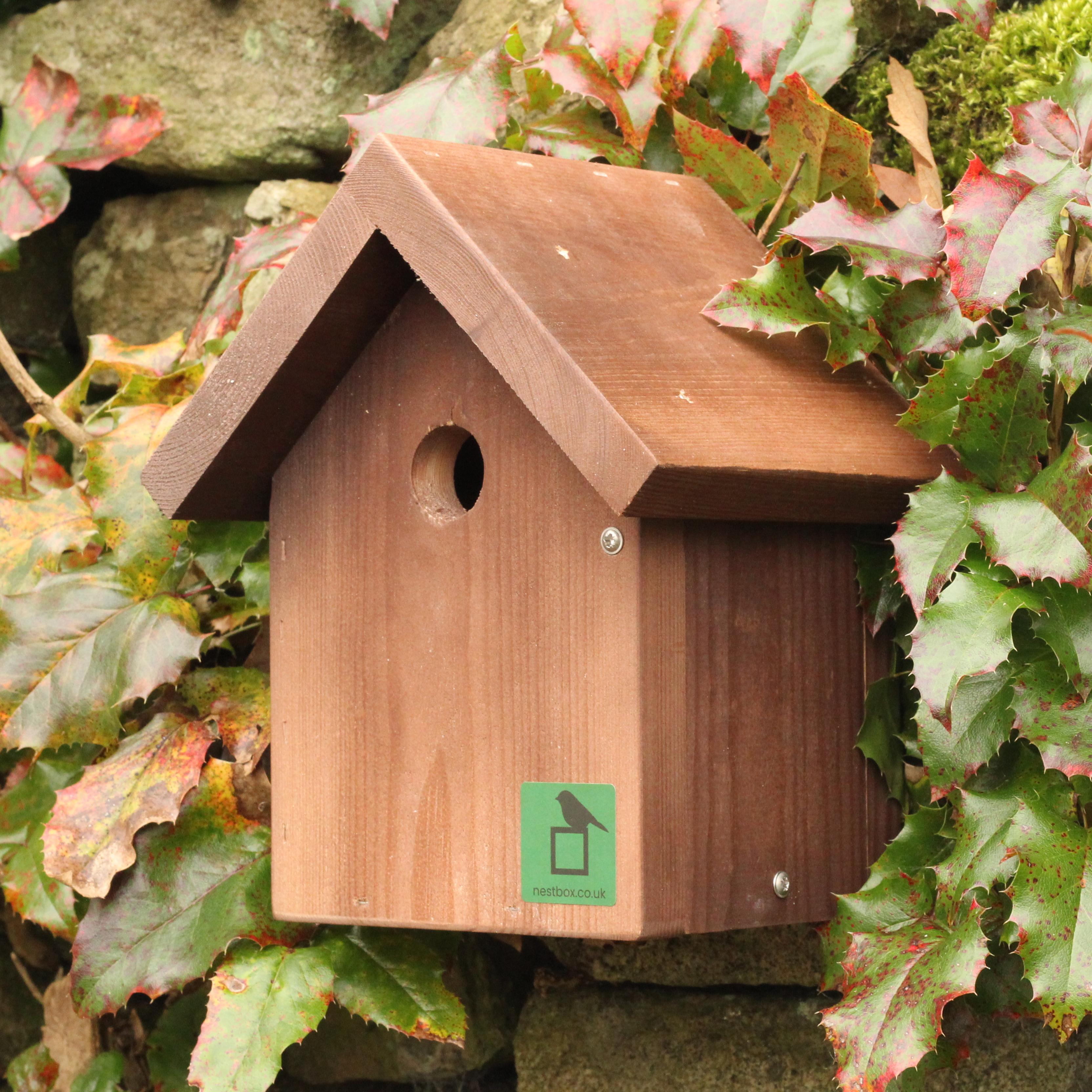 Apex Bird Box | The Nestbox Company