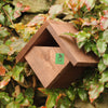 Apex Robin & Wren Bird Box