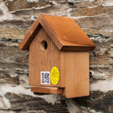 Apex box for garden birds