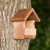 Apex Robin Box mounted at base of tree