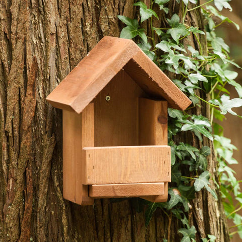 Treecreeper Nest Box