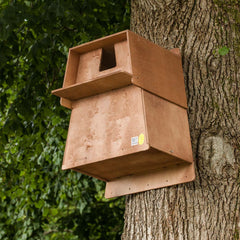 Barn Owl Nest Box on tree