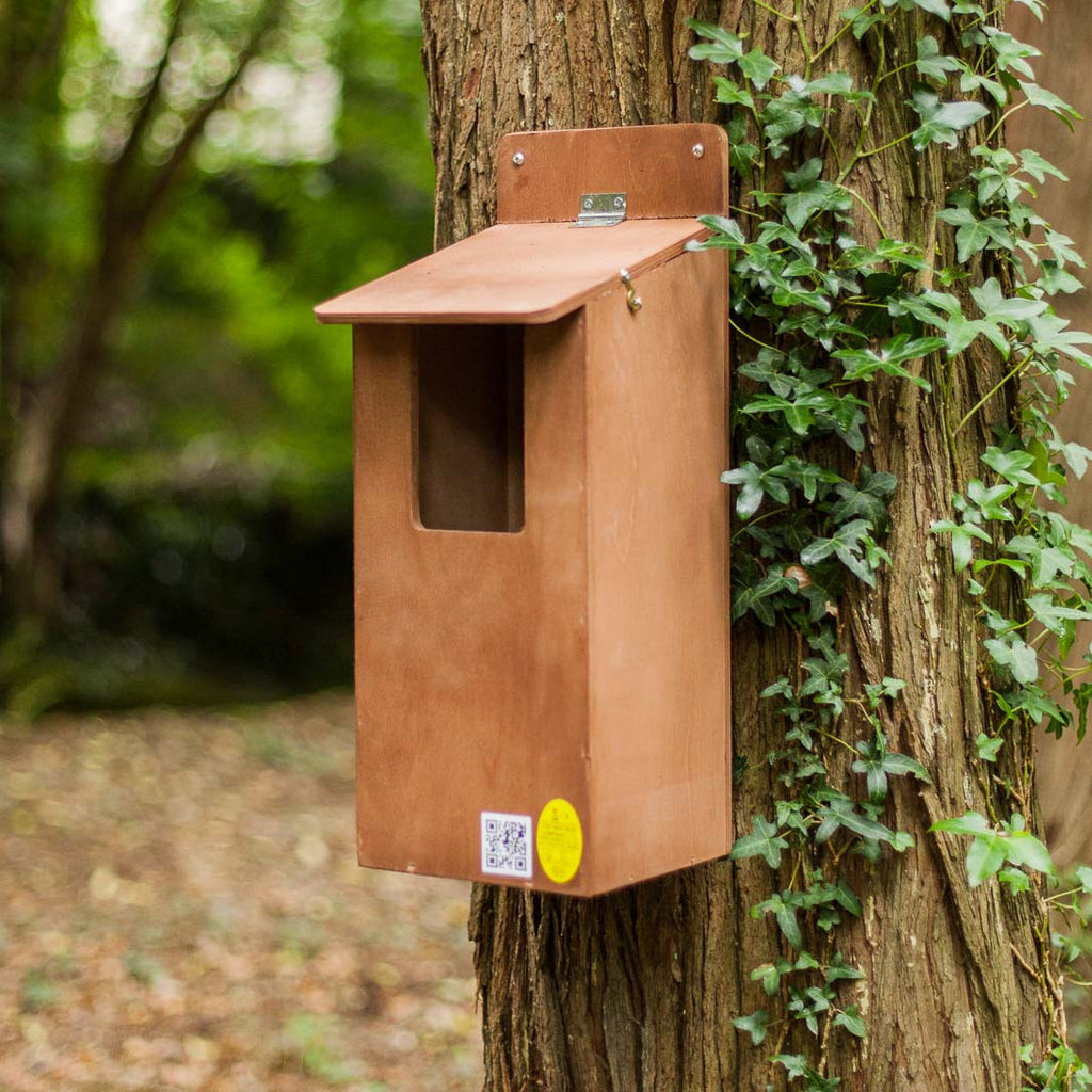 Large bird box mounted on tree