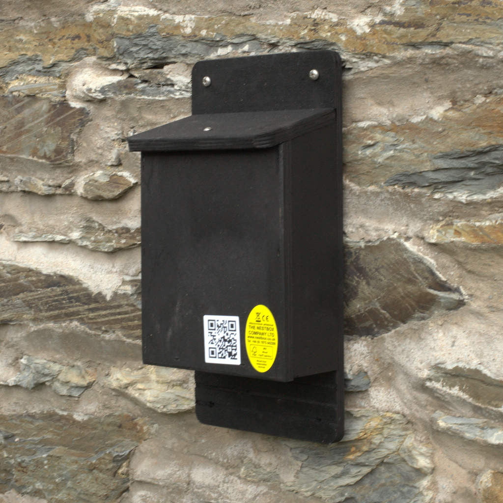 Crevice Bat Box | The Nestbox Company