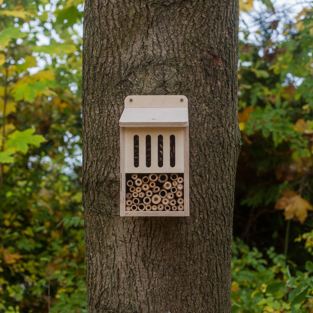 Bug Box Kit