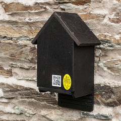 Cavity Bat Box with improved thermal performance