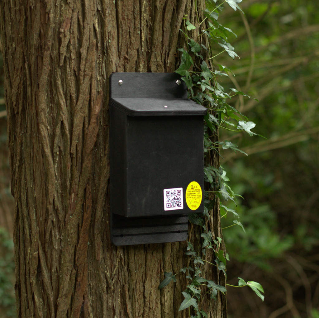 bat box for crevice dwelling bats