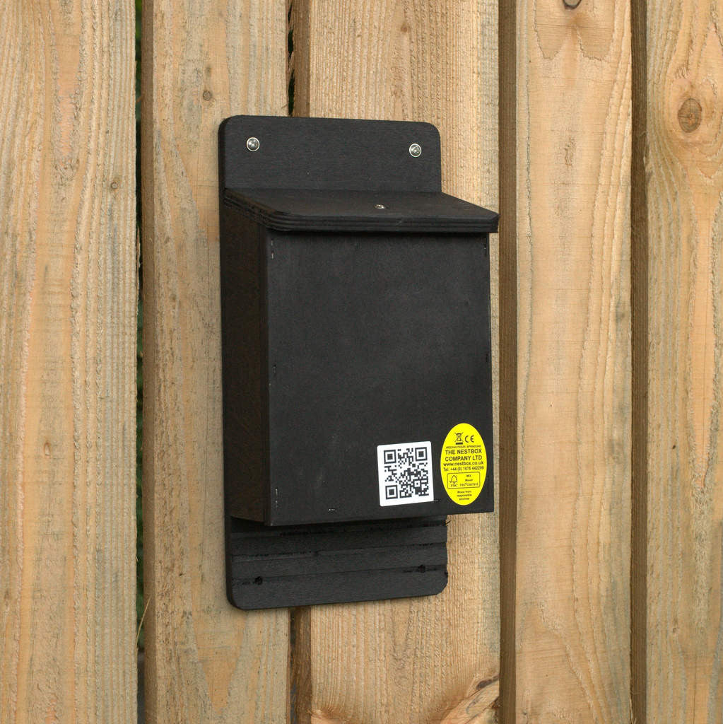 Black bat box from uk manufacturer