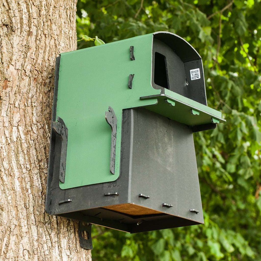 Eco Barn Owl Nest Box on tree