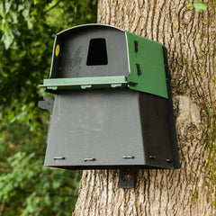 Eco Barn Owl Box on tree