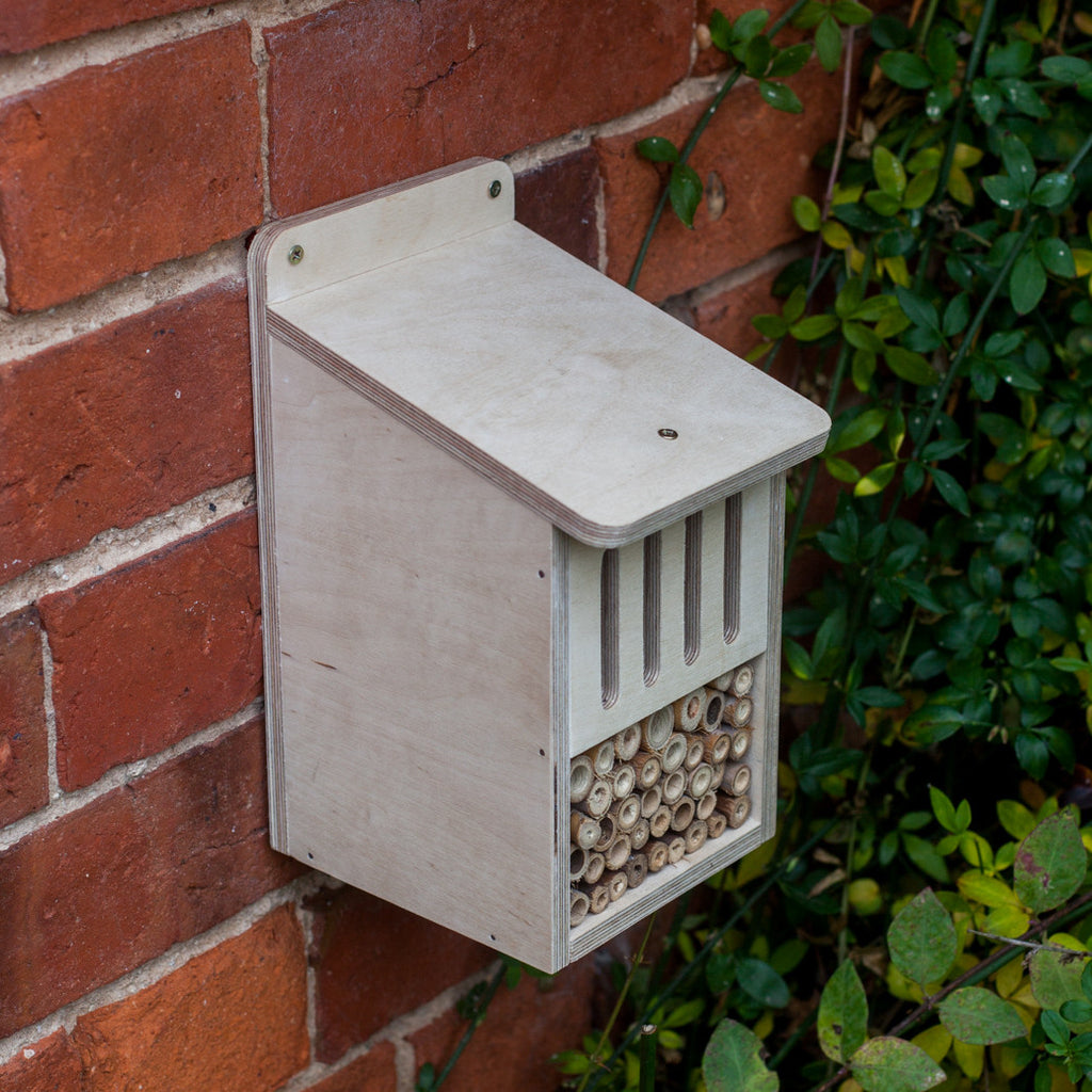 Bug Box Kit