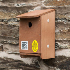 house sparrow nest modular construction