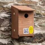 house sparrow nest box on wall