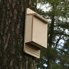bat box made from do-it-yourself kit