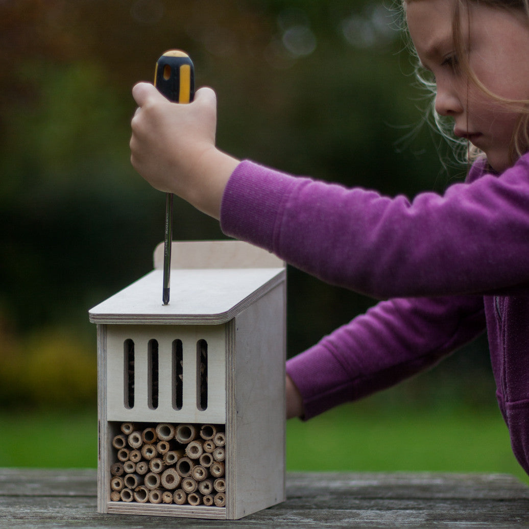 Bug Box Kit | The Nestbox Company
