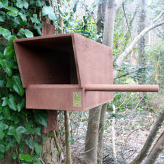 Kestrel nest box for mounting on pole or tree